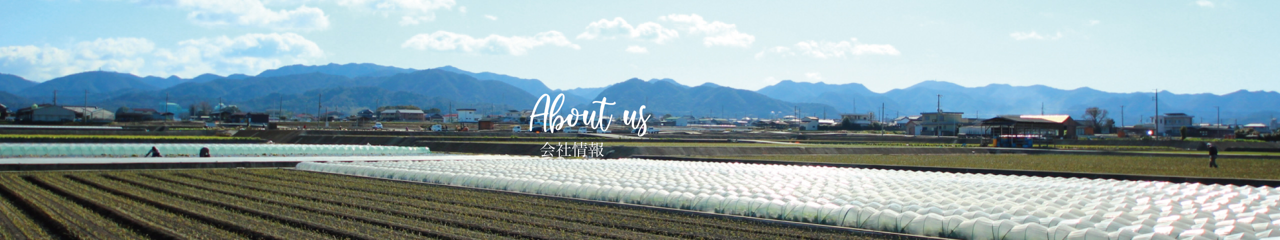 会社情報