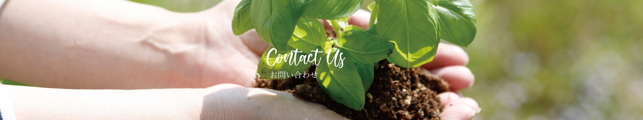 お問い合わせ